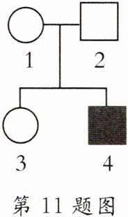 第11题图