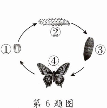 第6题图