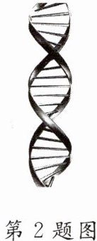 第2题图