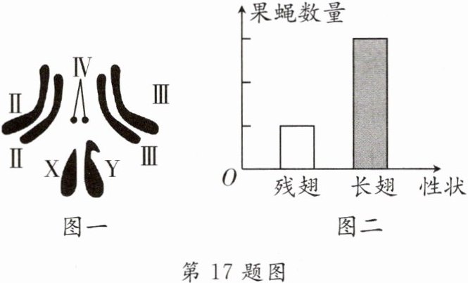 第17题图