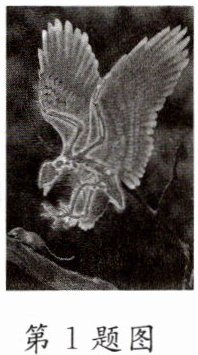第1题图