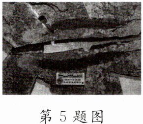 第5题图