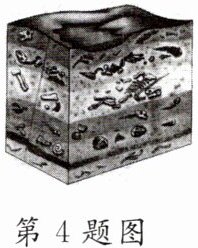 第4题图