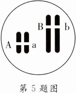第5题图