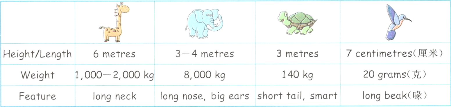 Featurelongbeak喙shorttailsmartlongnosebigearslongneck