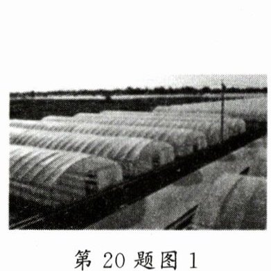 第20题图1