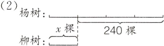 x棵240棵柳树
