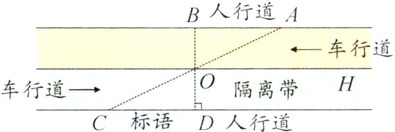 隔离带车行道标语D人行道