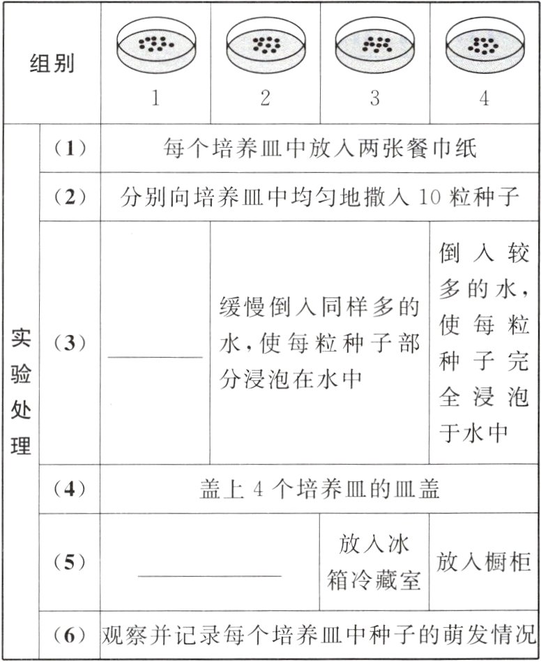 6观察并记录每个培养III中种子的萌发情况