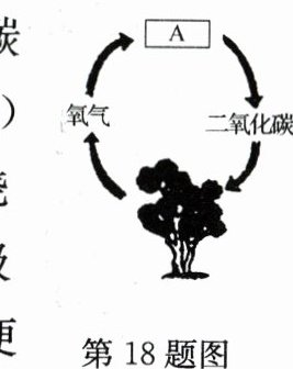 第18题图