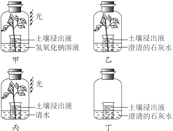清水澄清的石灰水