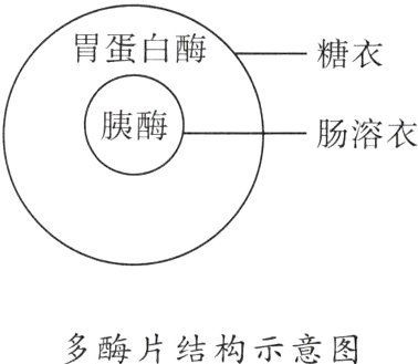 多酶片结构示意图