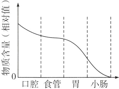物0口腔食管胃小肠
