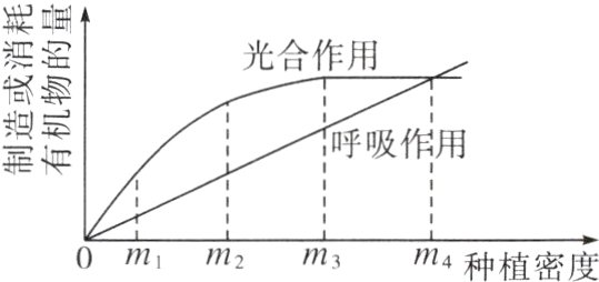 0mm2m3m4种植密度