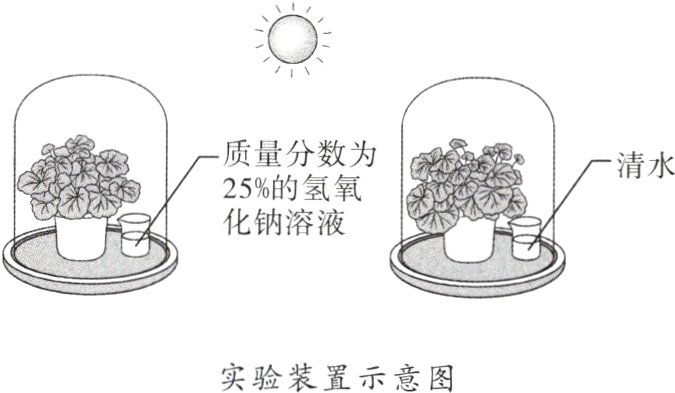 实验装置示意图
