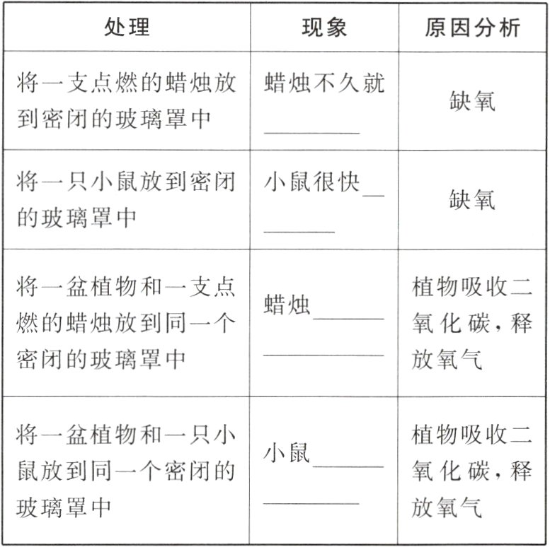 玻璃罩中放氧气