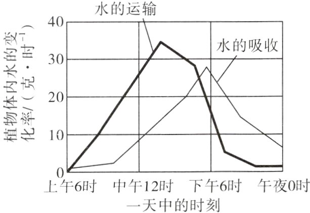 上午6时中午12时下午6时午夜0时一天中的时刻