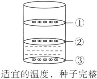 88888适宜的温度种子完整