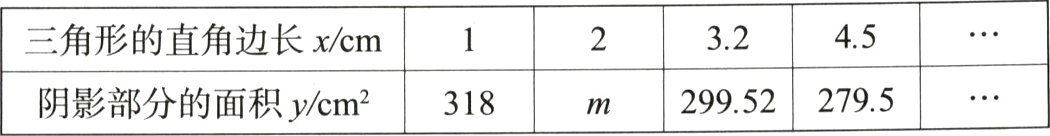 299522795阴影部分的面积ycm318