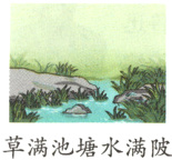 草满池塘水满陂