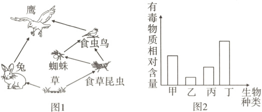甲乙丙丁生物种类图2图1