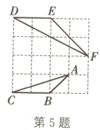 第5题