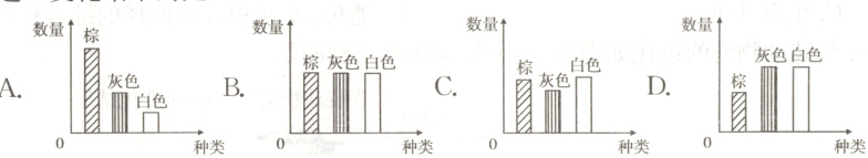 DCBAIIII白种类种类种类种类