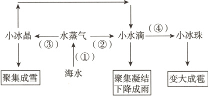 海水聚集成雪变大成聚集凝结下降成雨
