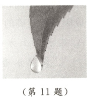 第11题