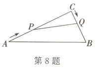 第8题