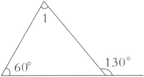 130°60°