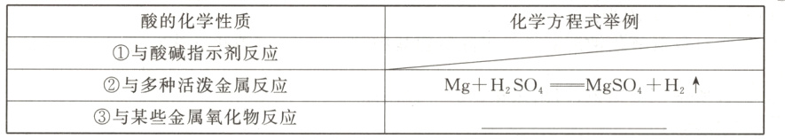 与多种活泼金属反应MgHSO4一MgSOH2与某些金属氧化物反应
