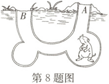 第8题图