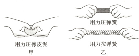 用力拉弹簧用力压橡皮泥