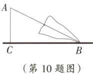 第10题图