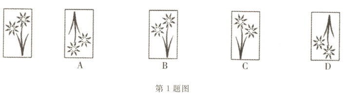 第1题图
