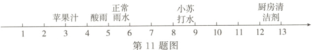 洁剂苹果汁酸雨雨水打水12345678910111213第11题图