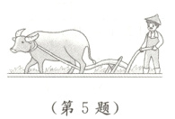 第5题