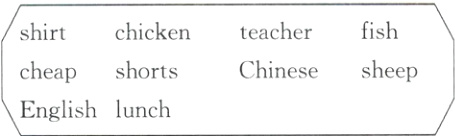 sheepshortsChinesecheapEnglishlunch