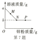 锌粉质量g第7题