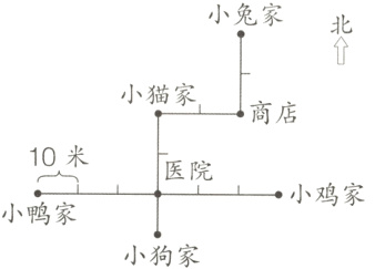 小鸡家小鸭家小狗家