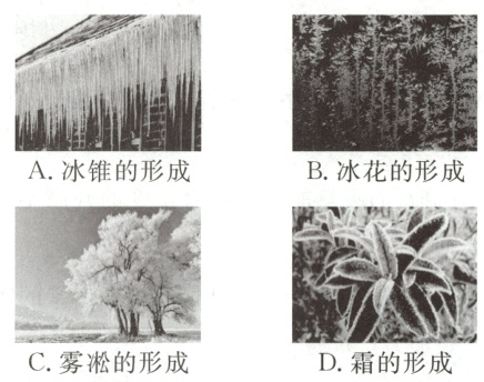 C雾淞的形成D霜的形成