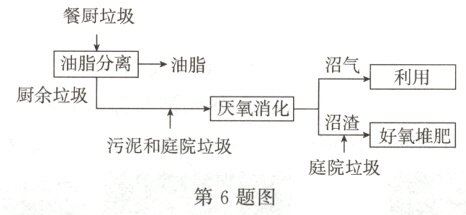 庭院垃圾第6题图