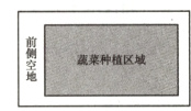 蔬菜种植区域