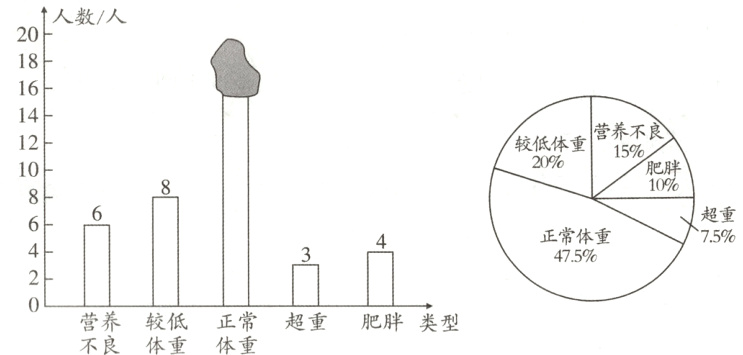 营养较低正常超重肥胖类型不良体重体重