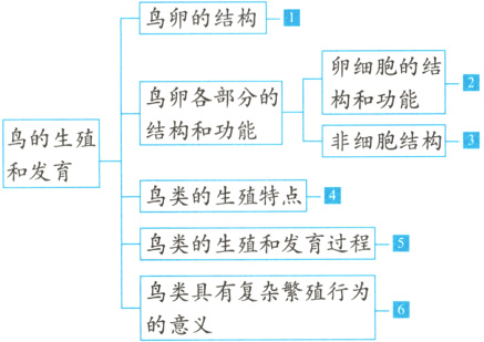 鸟类具有复杂繁殖行为的意义