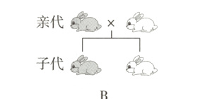 子代