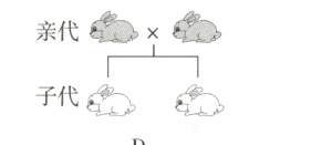 子代