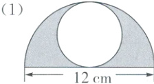 12cm