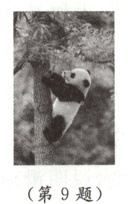 第9题